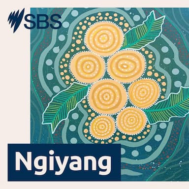 Ngiyang yalbiligu: The purpose of learning language